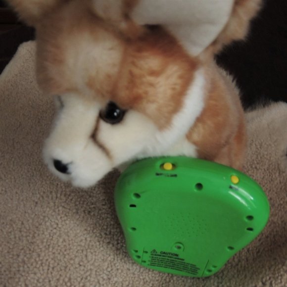 Fisher-Price Go Diego Go Memory Touch-A-Doo Electronic Handheld Travel Game - Picture 3 of 5